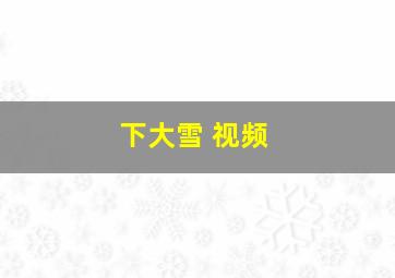 下大雪 视频